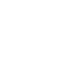 Dynamic Website Development Services